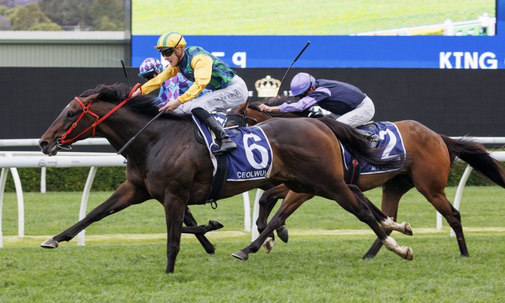 定的目标 定的目标