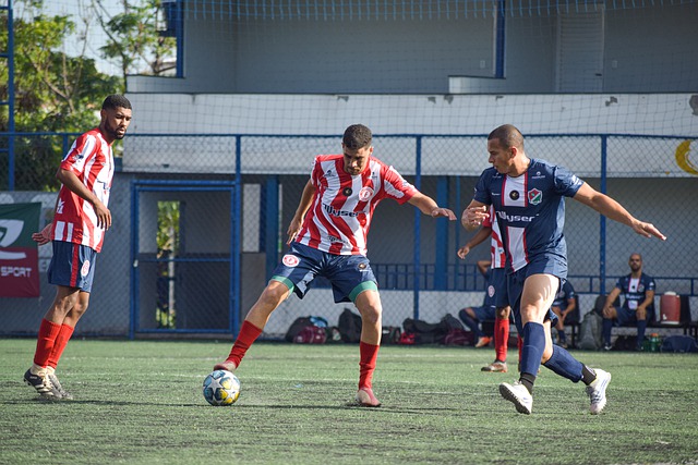 地減少被發 地減少被發