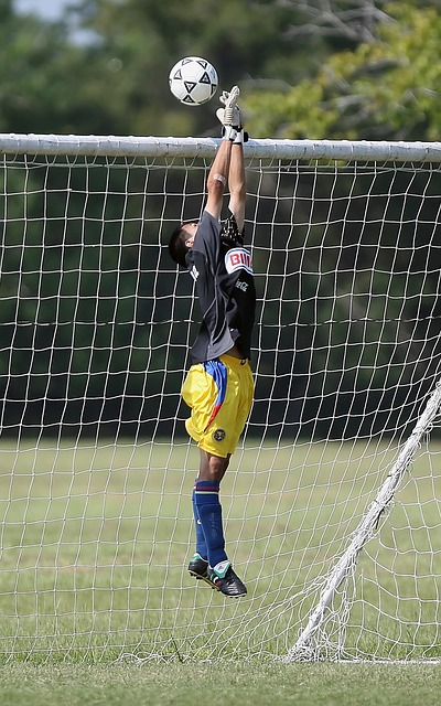 吸引了全国 吸引了全国