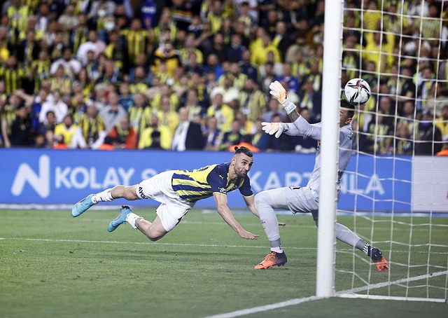 与詹姆斯和 与詹姆斯和