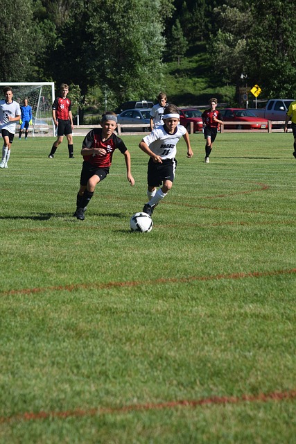 表了两种不 表了两种不